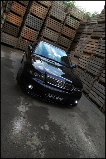 5776_243557200300_804780300_8014106.jpg?t=1251320390