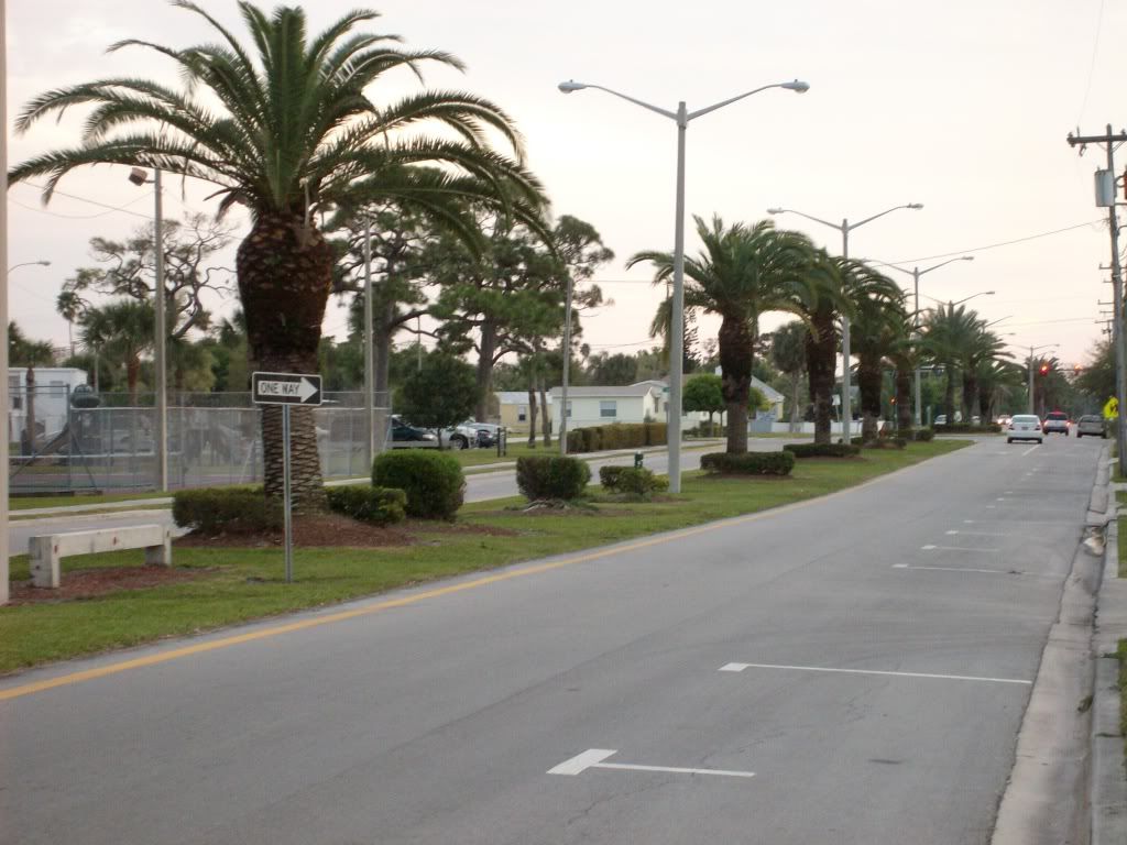 SANY0555-1.jpg