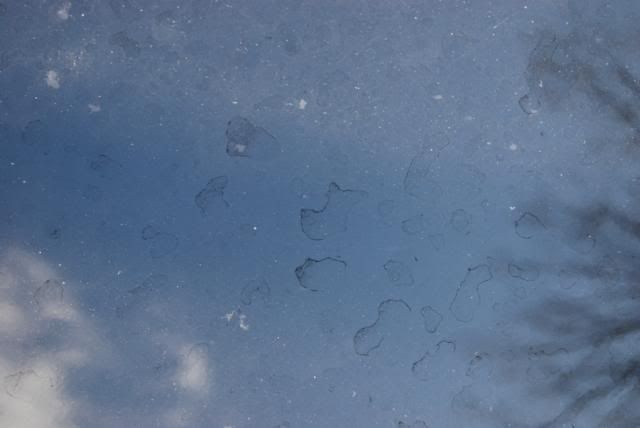 DSC_0006.jpg