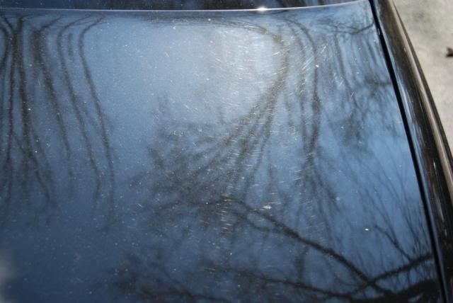 DSC_0013.jpg