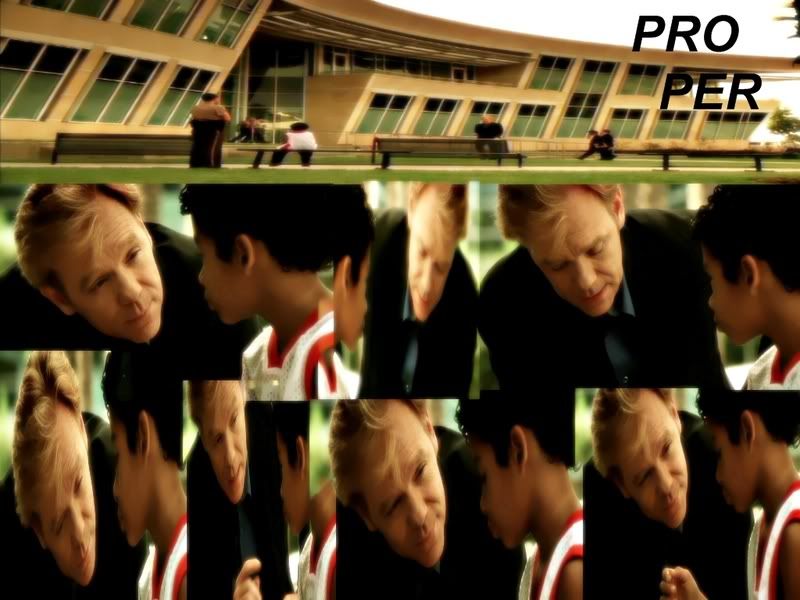 Pro Per Wp's - CSI Miami
