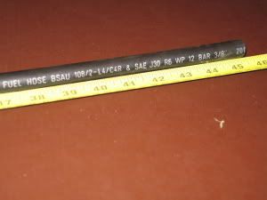 IMG_3526s.jpg