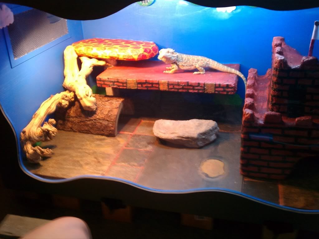 Custom Mario Theme Viv Done Bearded Dragon Org