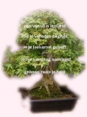 Vriendgedicht.jpg Vriend image by anibocaj