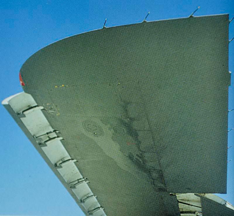B1_wing1.jpg
