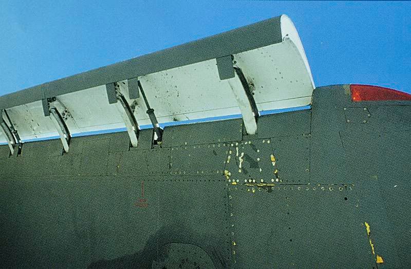 B1_wing2.jpg