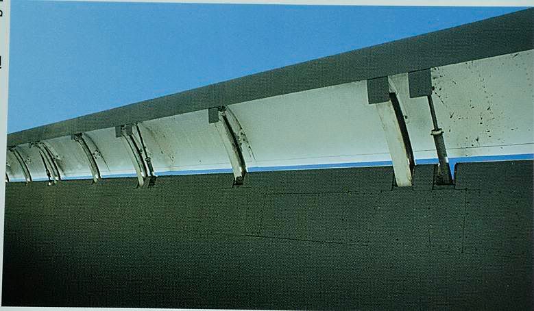 B1_wing3.jpg