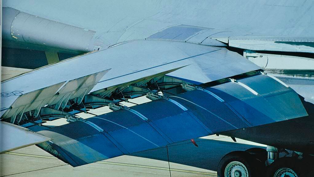 B1_wing4.jpg