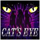 http://i271.photobucket.com/albums/jj125/robo2008_2008/CATSEYE.jpg