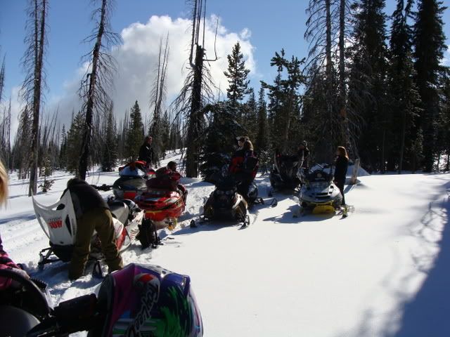 856e804d.jpg