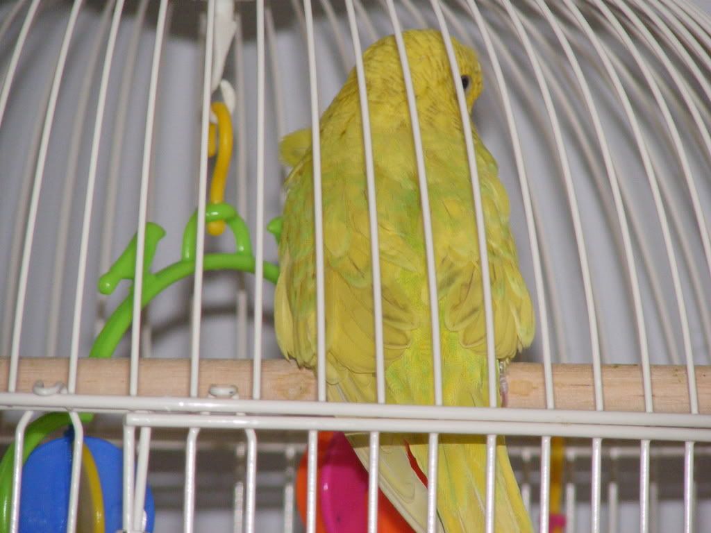 DSCF1412.jpg
