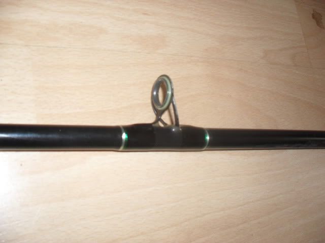 SAM_1147.jpg