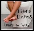 Potty Training 101