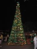 Zihua Christmas Tree