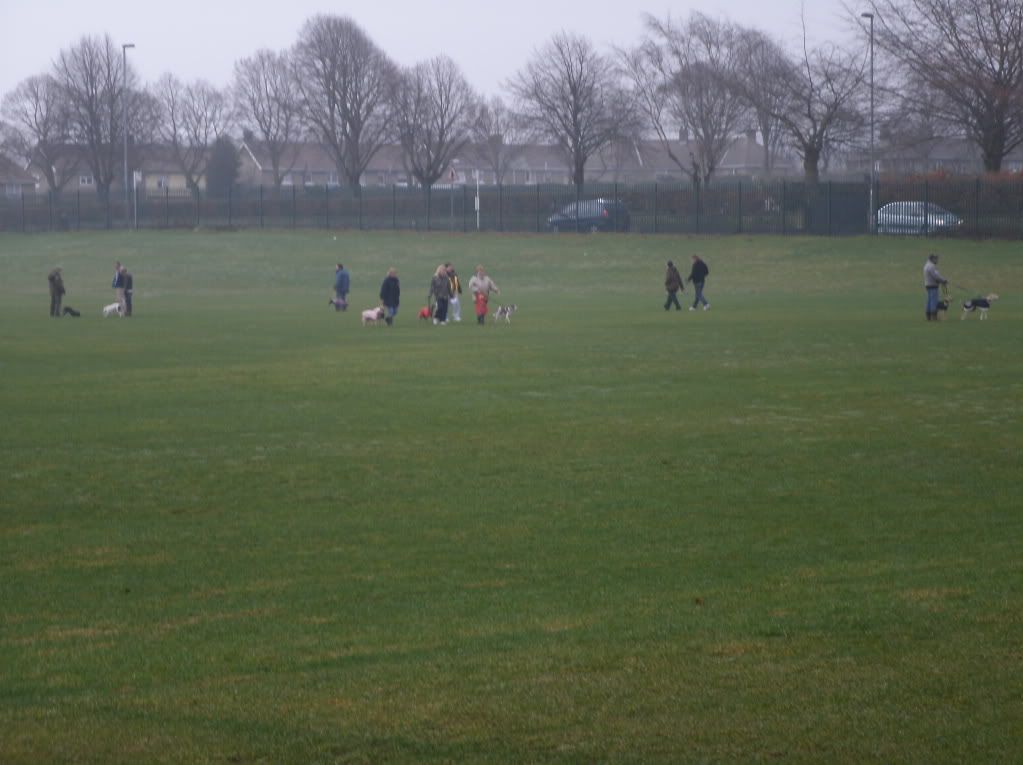 003-7.jpg