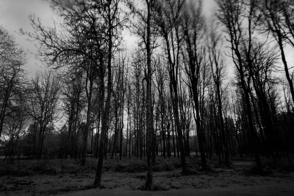 infrared-2.jpg