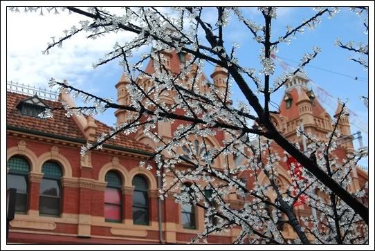 ADELAIDE