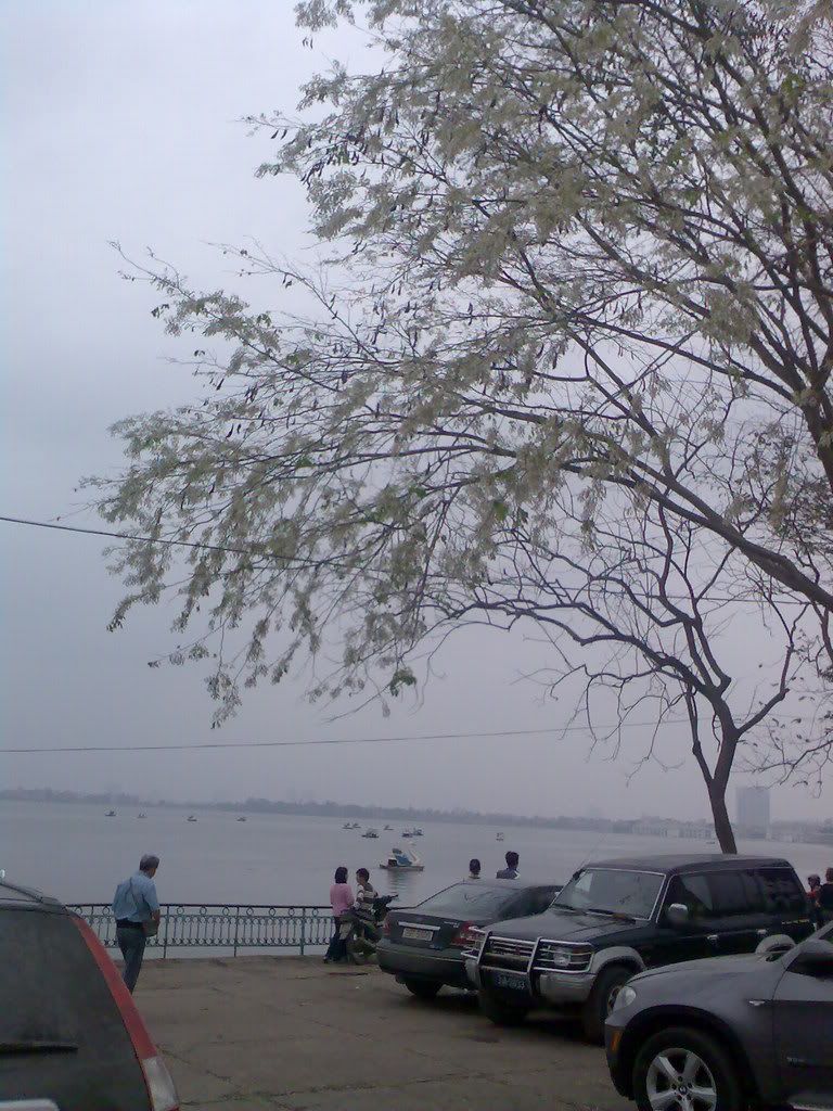 H&amp;#7891; T&amp;acirc;y 1