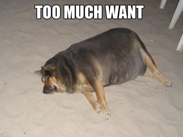 excess photo: nugget excess.jpg