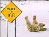 th_WatchforIcePolarbear.jpg