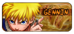 http://i271.photobucket.com/albums/jj138/hj55_08/Ninja%20Rang/ranks-naruto-Gennin.png