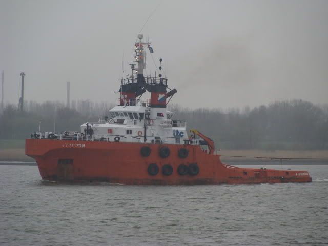 DSC01207.jpg