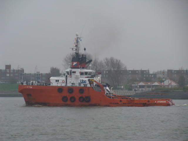 DSC01212.jpg