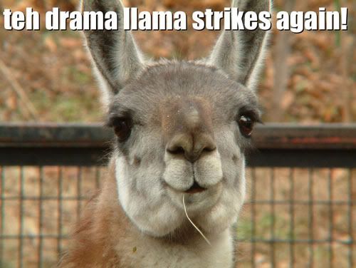 [Image: Drama_Llama2.jpg]