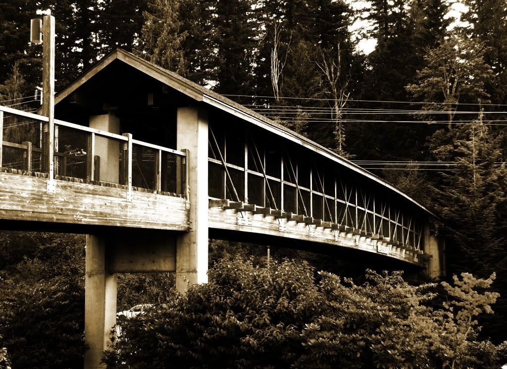 Footbridge, snoqualmie falls Salish Lodge b&amp;w