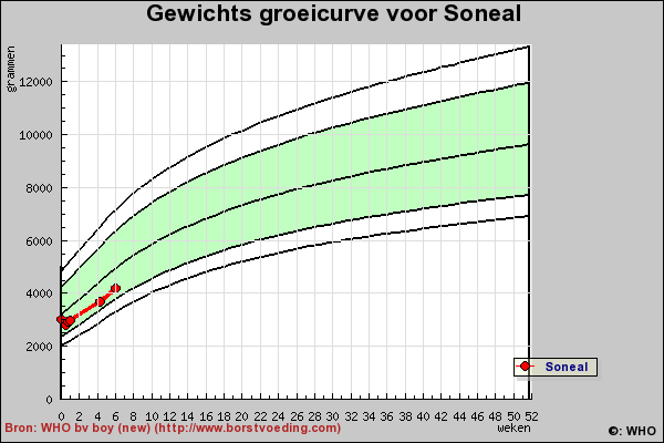 Gewicht20110111.png