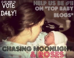 Chasing Moonlight & Roses