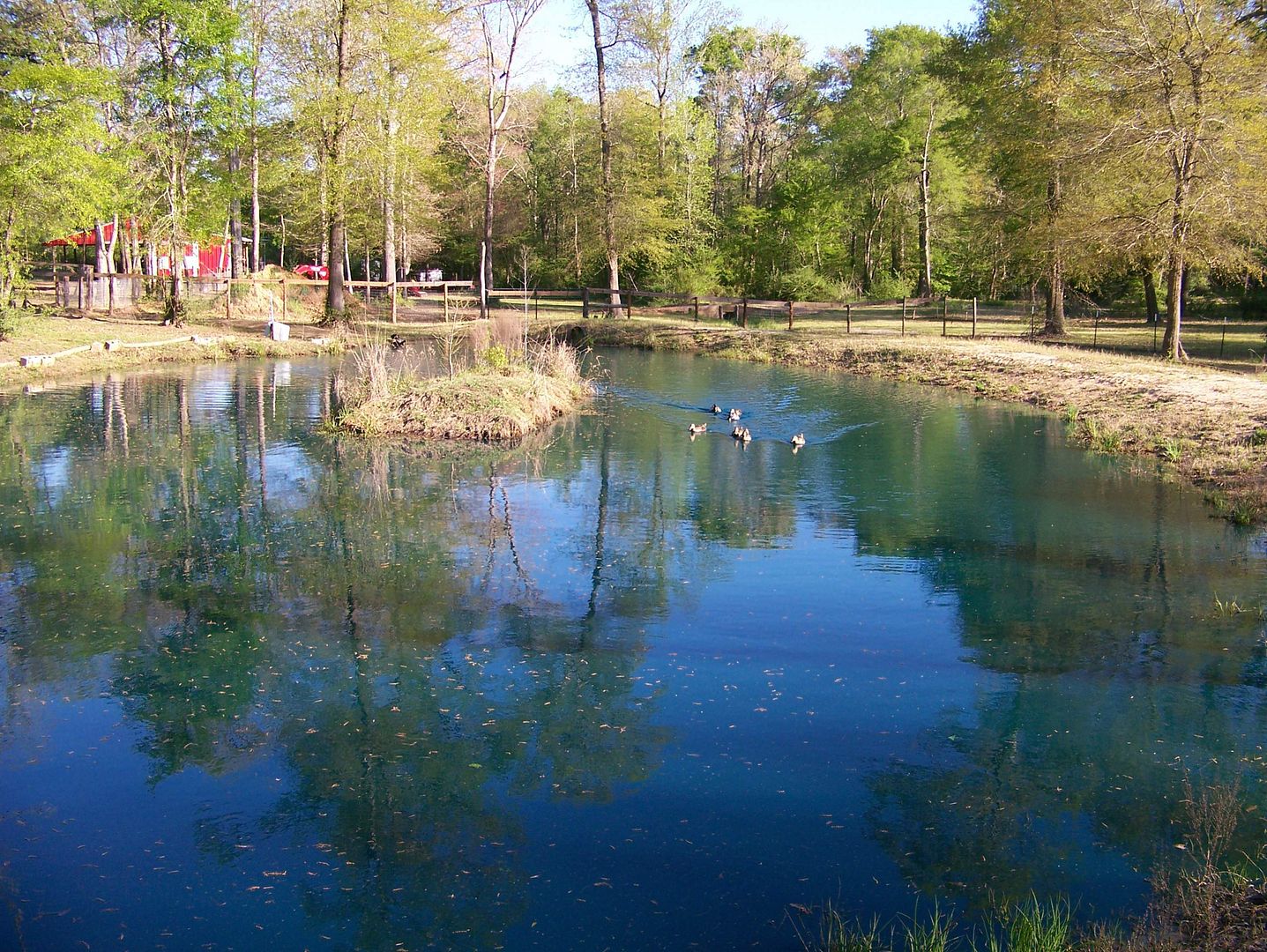 3-28-15%20Island%20DuckPond%20from%20Dam%20Far%20End%202.jpg
