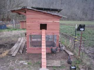 Solid cedar predator resistant chicken coop: