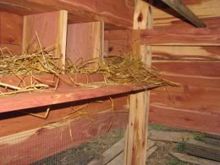 the 3 roosting sticks(these are the only non cedar wood in the build