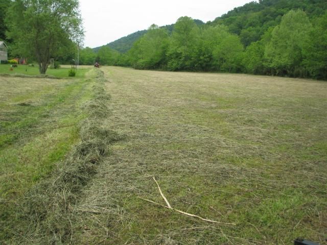 HAy2012001.jpg