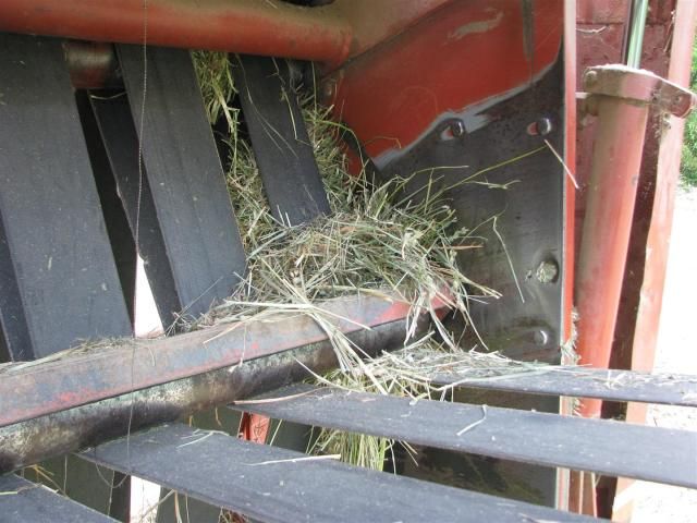 HAy2012003.jpg