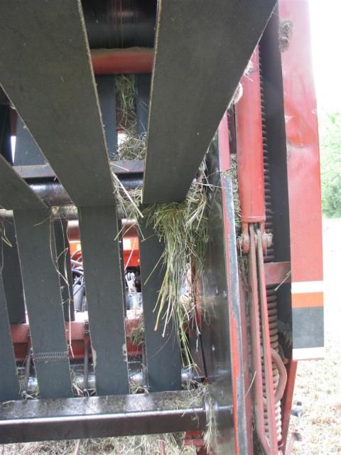 HAy2012005.jpg