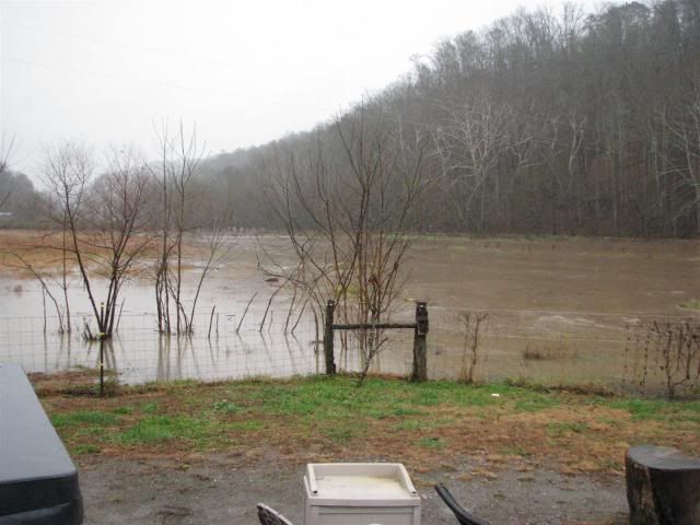 Nov2011flood001.jpg
