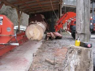 Polebarnzilla005-1.jpg
