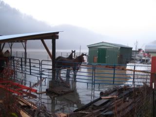 FloodDec2009004.jpg