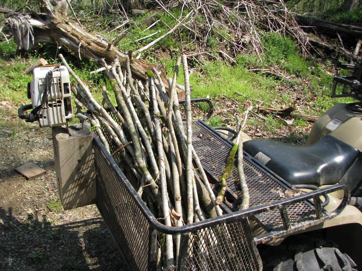 Gardensticksamp024003.jpg