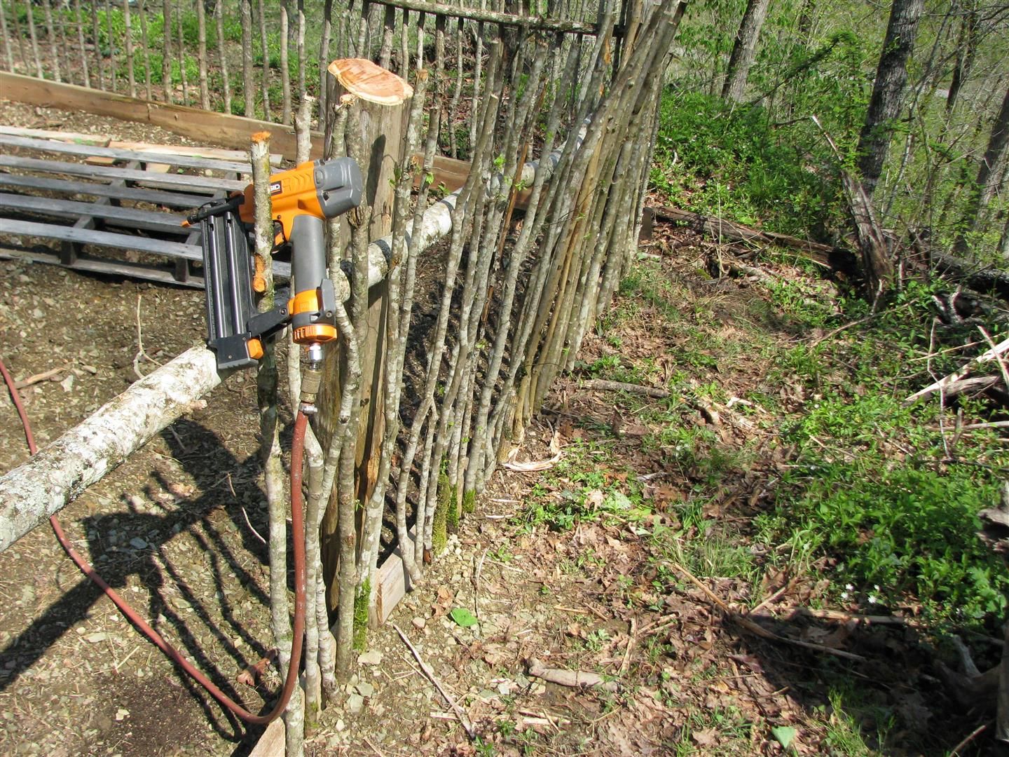 Gardensticksamp024004.jpg