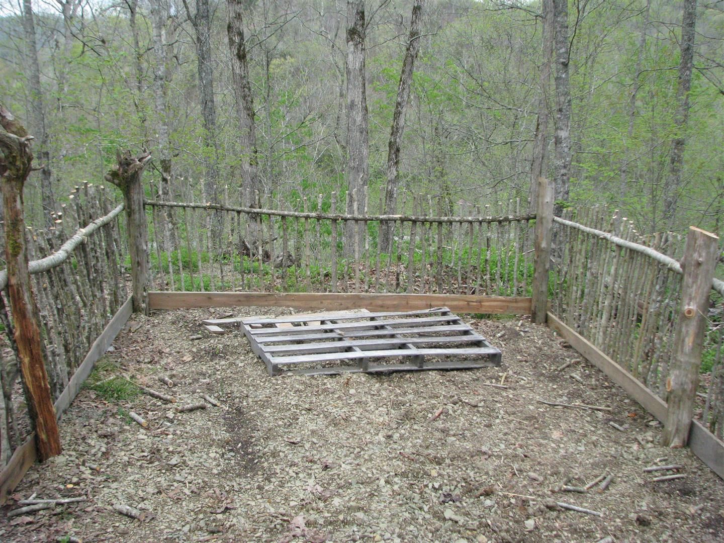 Gardensticksamp024012.jpg
