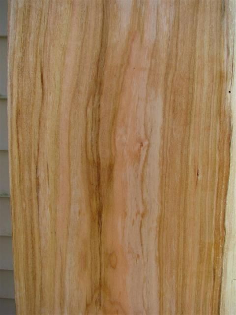 PlaningCherry005.jpg