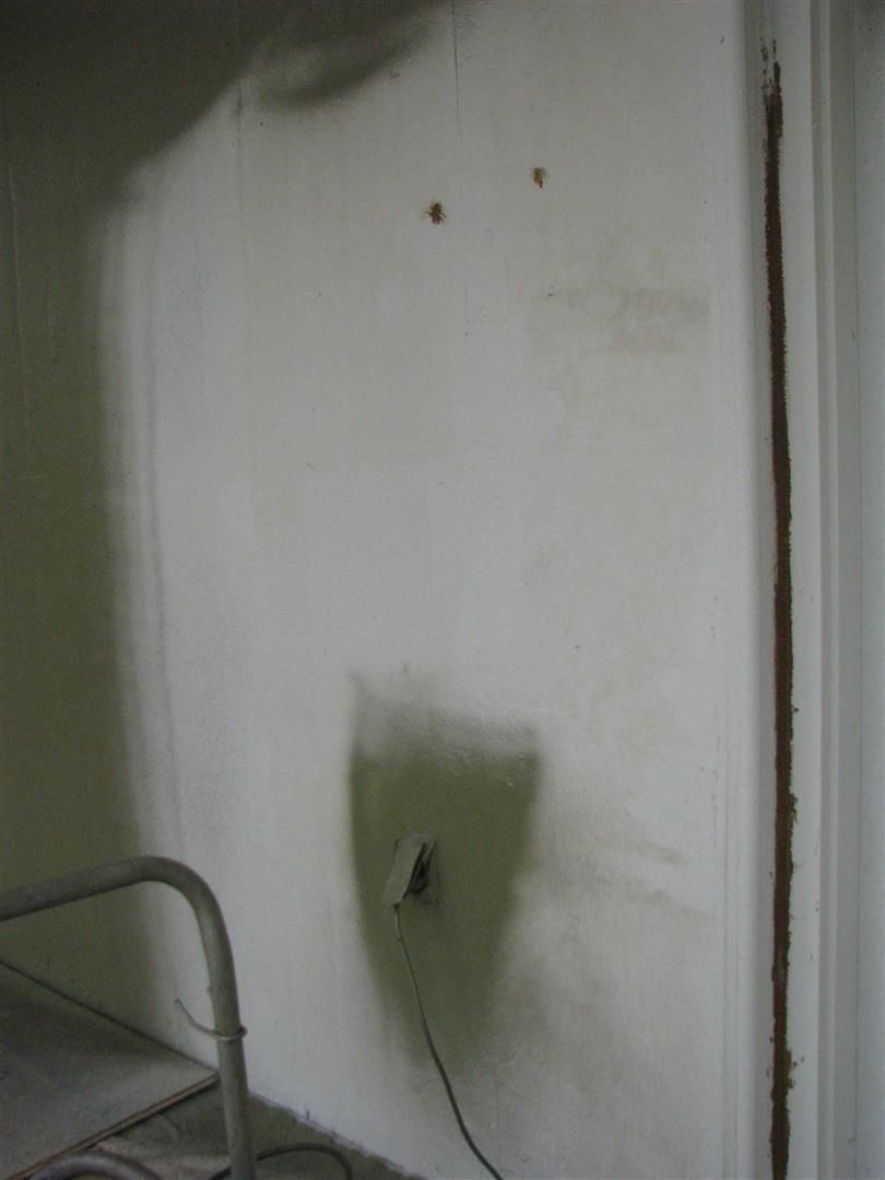 basementinsulation004-1.jpg