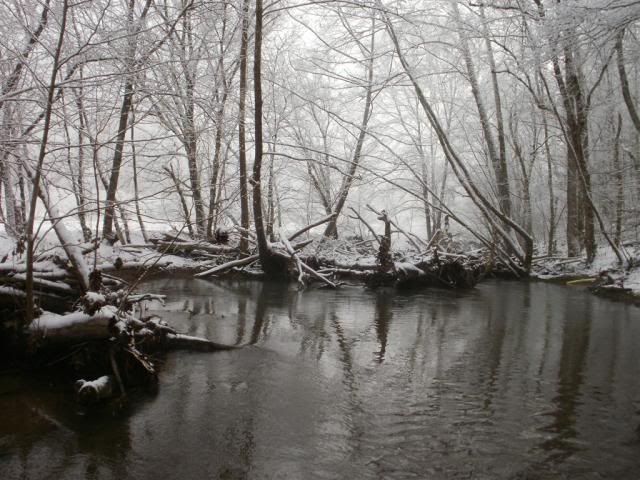 SnowagainJan2011005.jpg