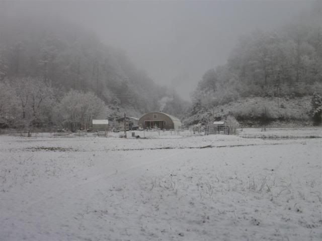 SnowagainJan2011006.jpg