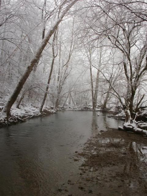 SnowagainJan2011008.jpg