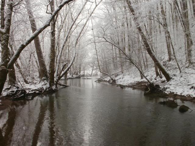 SnowagainJan2011009.jpg