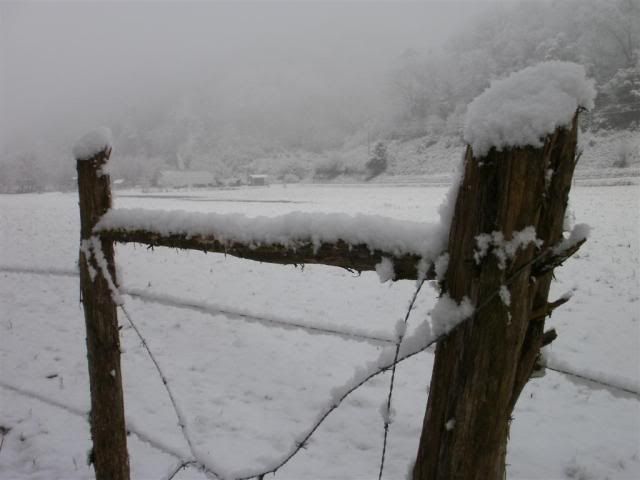 SnowagainJan2011012.jpg